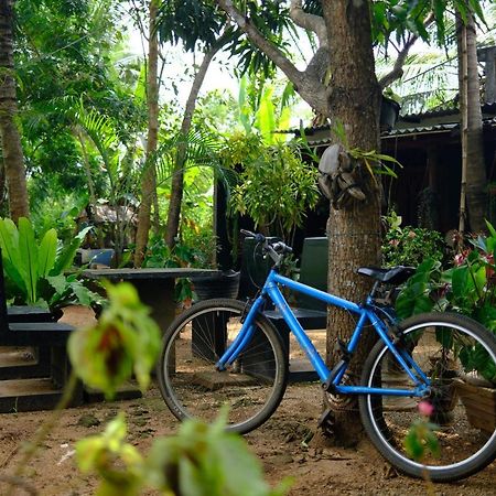 One More Night Hostel Sigiriya Ngoại thất bức ảnh