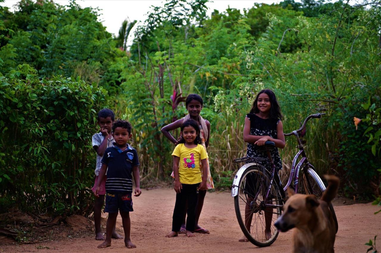 One More Night Hostel Sigiriya Ngoại thất bức ảnh