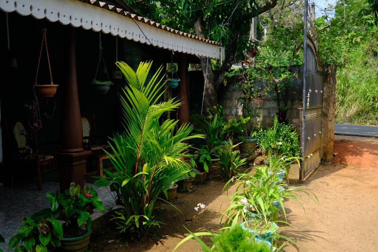 One More Night Hostel Sigiriya Ngoại thất bức ảnh