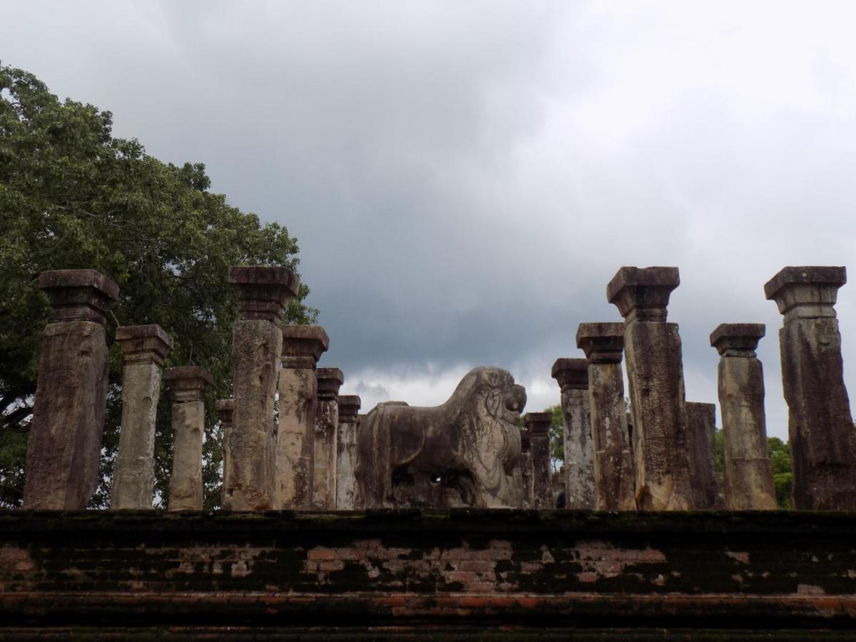 One More Night Hostel Sigiriya Ngoại thất bức ảnh